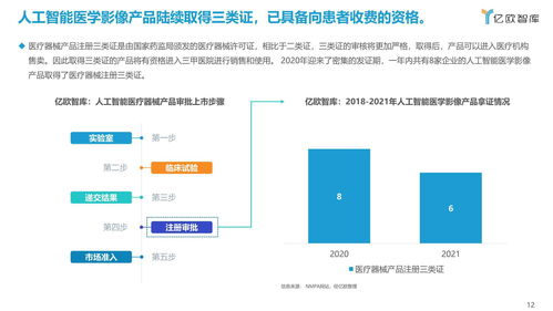 2021年中國人工智能醫(yī)學(xué)影像企業(yè)應(yīng)用軟件開發(fā)發(fā)展報告
